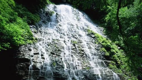 精密精密